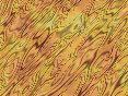 xm008195.gif