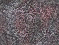xm008190.gif