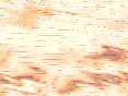 xm008187.gif