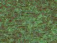 xm008186.gif