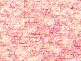 xm008184.gif