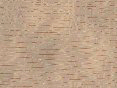xm008183.gif