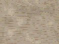 xm008182.gif