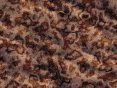 xm008180.gif