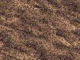 xm008179.gif