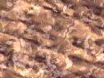 xm008177.gif