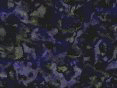 xm008176.gif