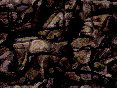 xm008170.gif