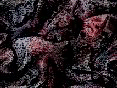 xm008169.gif