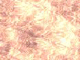 xm008167.gif