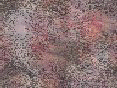 xm008164.gif