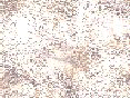 xm008163.gif