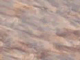xm008162.gif