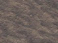xm008160.gif
