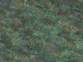 xm008159.gif