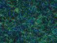 xm008158.gif