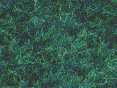 xm008156.gif