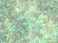 xm008155.gif