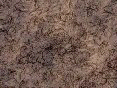 xm008154.gif