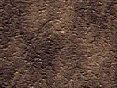 xm008153.gif