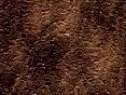 xm008152.gif