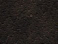 xm008151.gif