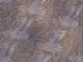xm008150.gif