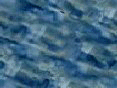 xm008148.gif