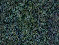 xm008145.gif