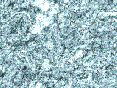 xm008143.gif