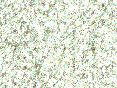xm008142.gif