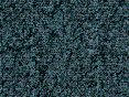 xm008141.gif