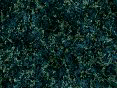 xm008140.gif