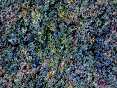 xm008139.gif