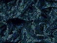 xm008137.gif