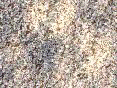 xm008136.gif