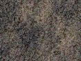 xm008135.gif