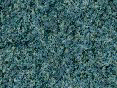xm008134.gif
