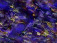 xm008133.gif