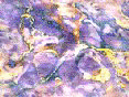 xm008131.gif