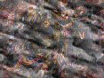 xm008129.gif