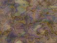 xm008123.gif