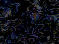 xm008122.gif