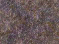 xm008121.gif