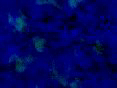 xm008119.gif