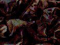 xm008116.gif
