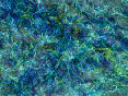 xm008114.gif