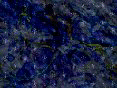 xm008113.gif