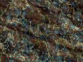 xm008110.gif