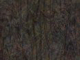 xm008109.gif